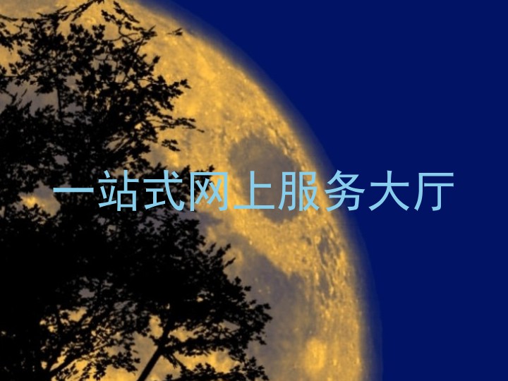 一站式网上服务大厅