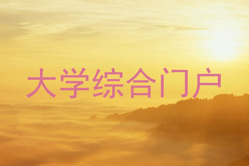 大学综合门户