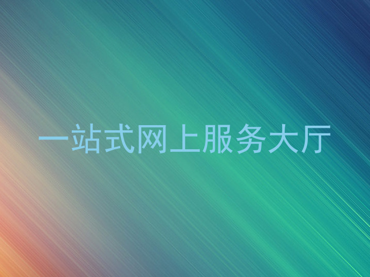 一站式网上服务大厅