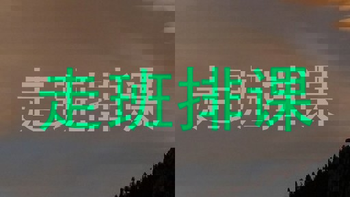 走班排课