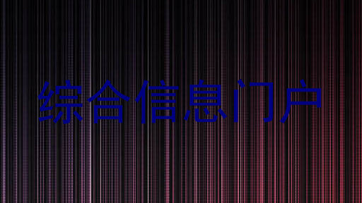 综合信息门户