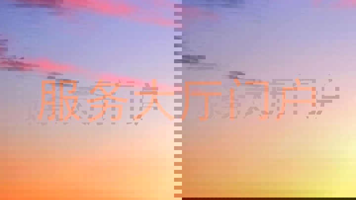 服务大厅门户
