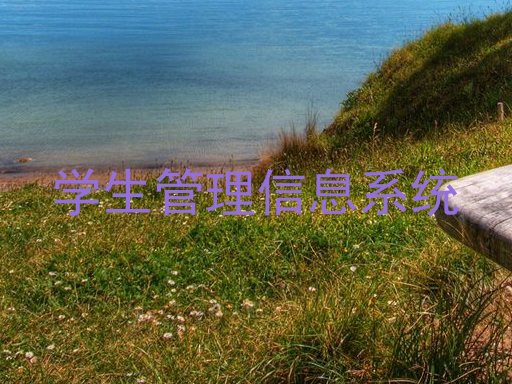 学生管理信息系统