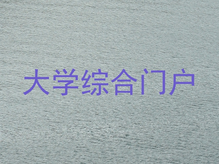 大学综合门户
