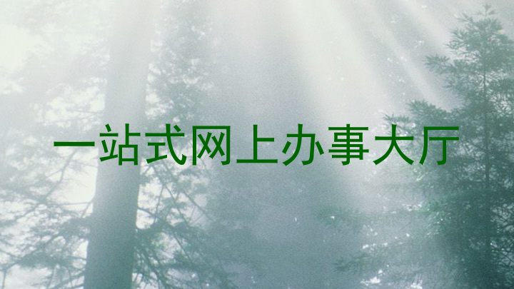 一站式网上办事大厅