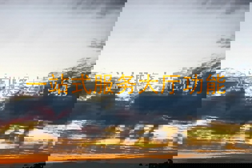一站式服务大厅功能