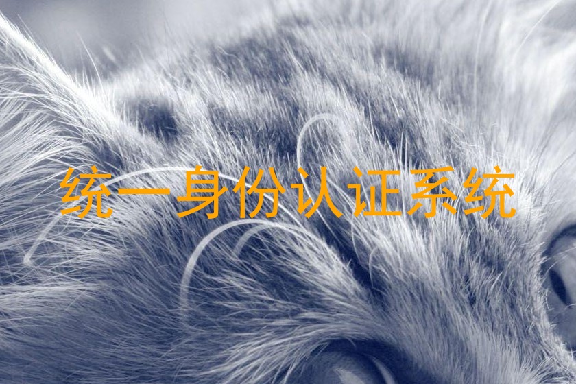 统一身份认证系统