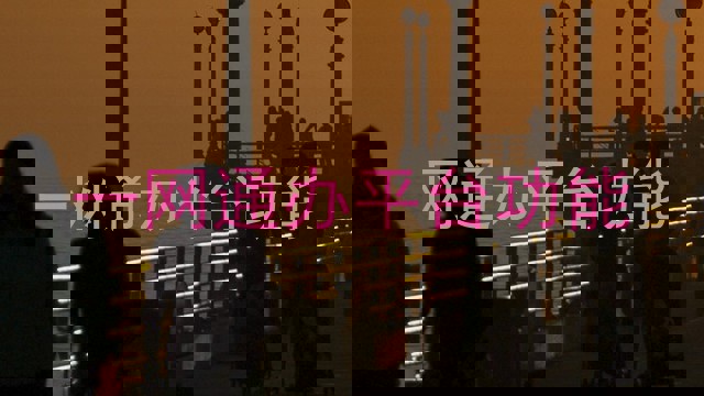 一网通办平台功能