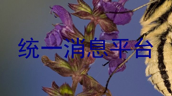 统一消息平台
