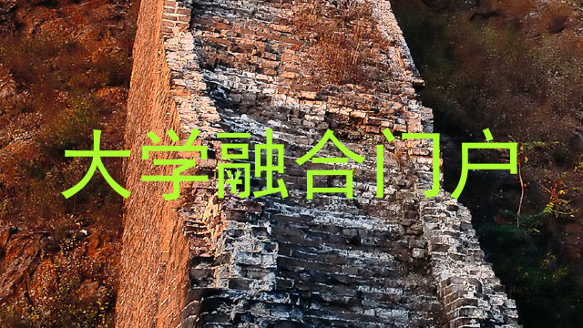 大学融合门户
