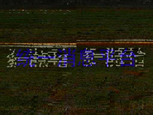 统一消息平台
