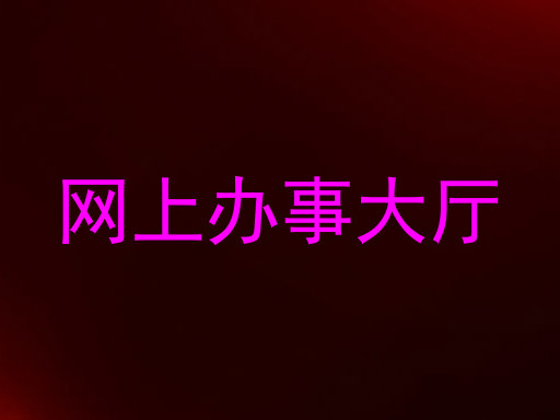 网上办事大厅