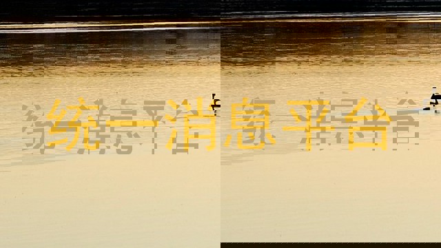 统一消息平台