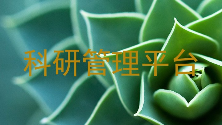 科研管理平台