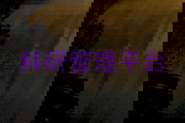 科研管理平台