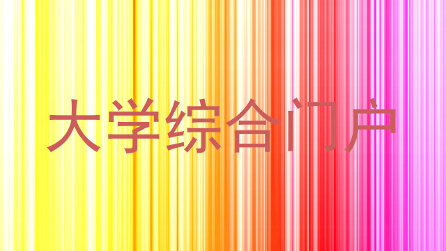 大学综合门户