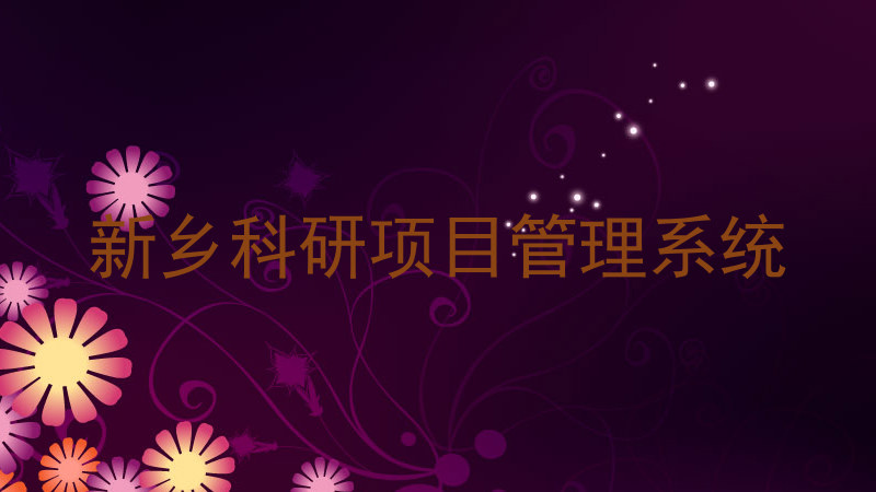 新乡科研项目管理系统