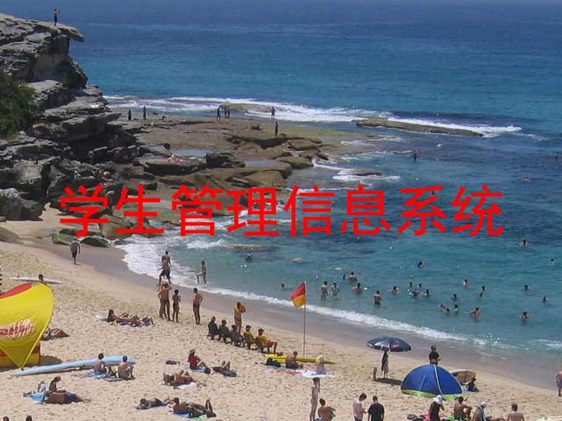 学生管理信息系统