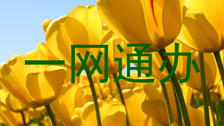 一网通办