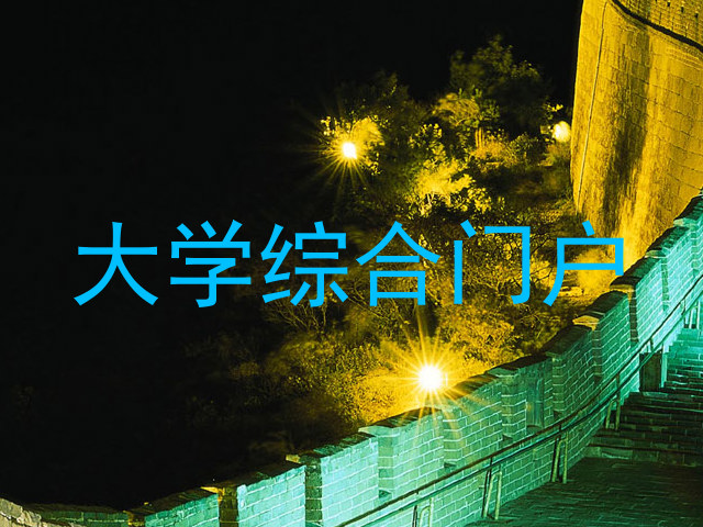 大学综合门户