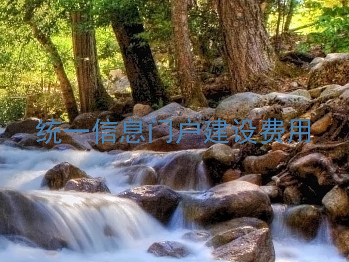 统一信息门户建设费用