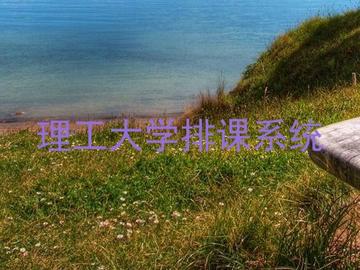 理工大学排课系统
