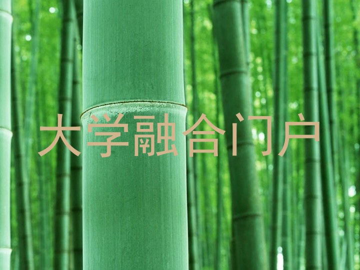 大学融合门户
