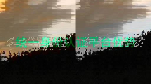 统一身份认证平台优势