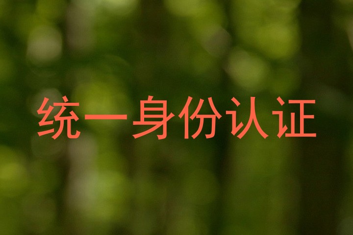 统一身份认证