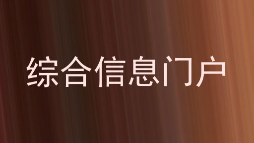 综合信息门户
