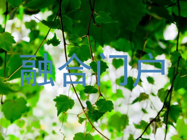 融合门户