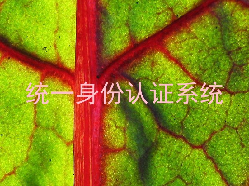 统一身份认证系统