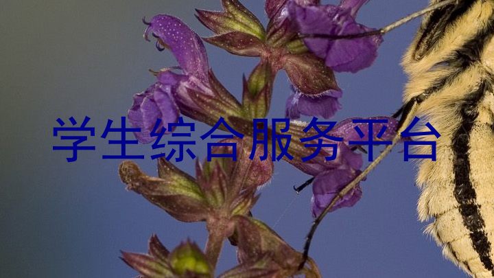 学生综合服务平台