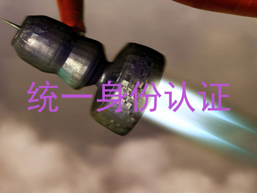 统一身份认证