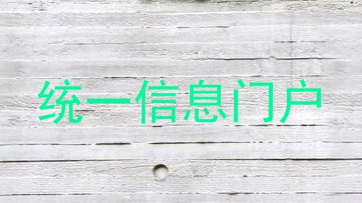统一信息门户