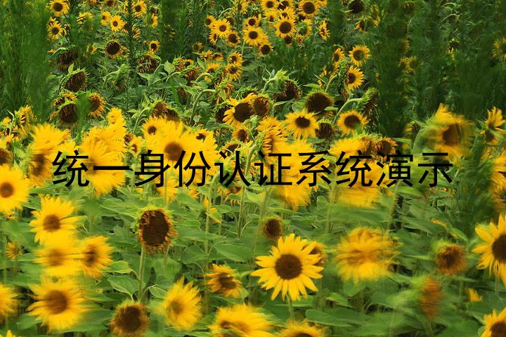 统一身份认证系统演示
