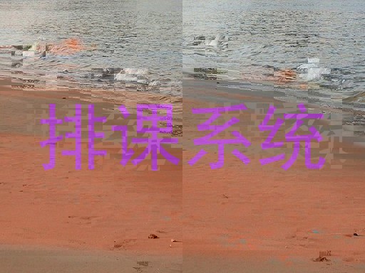 排课系统