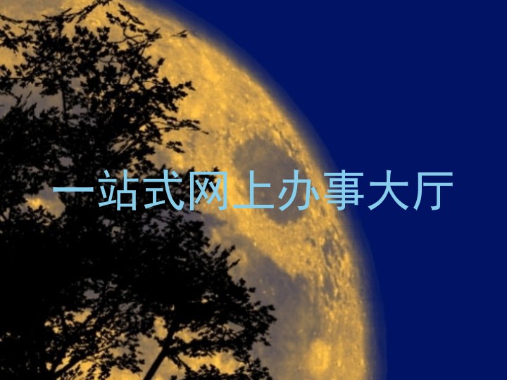 一站式网上办事大厅