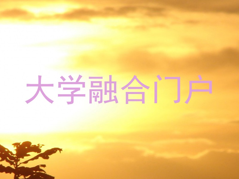 大学融合门户