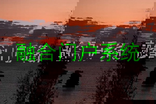 融合门户系统