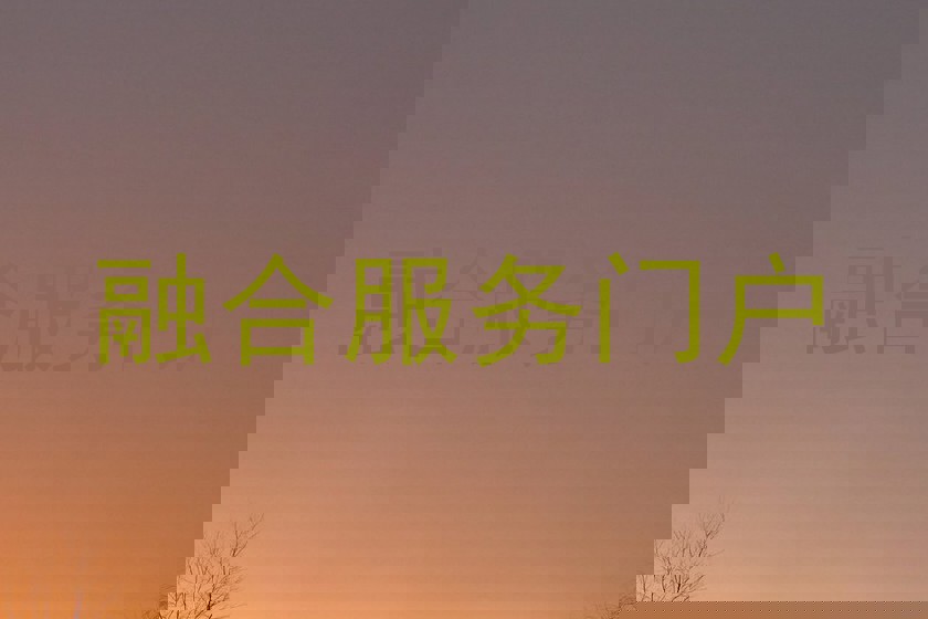 融合服务门户