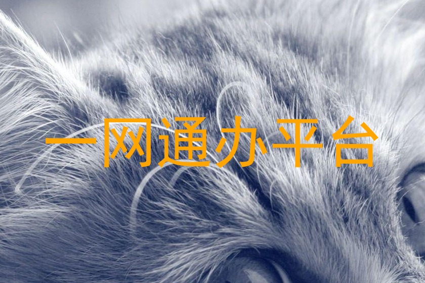 一网通办平台