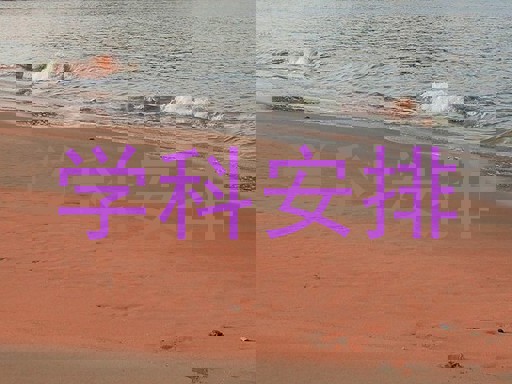 学科安排