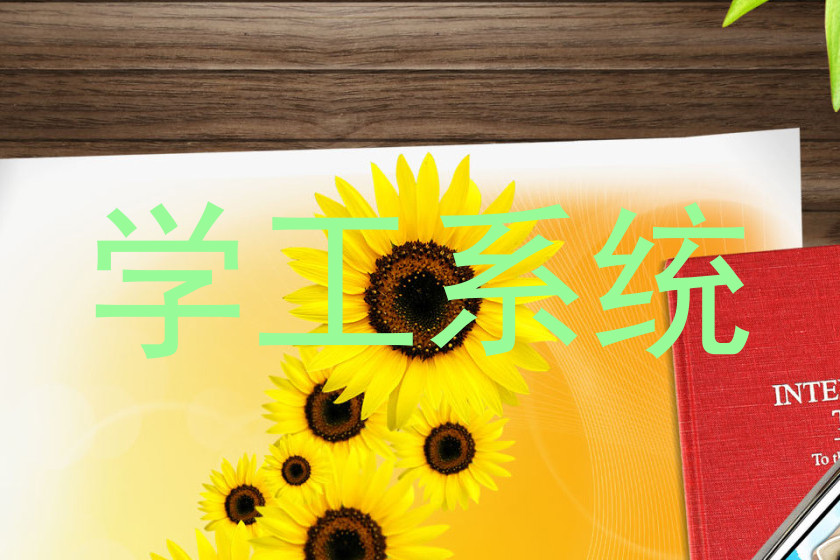学工系统