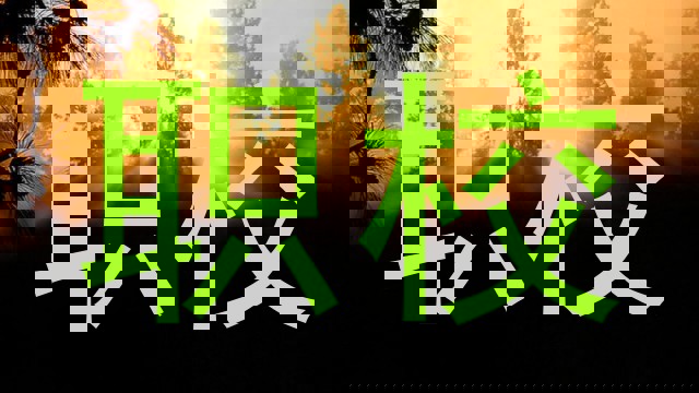 职校