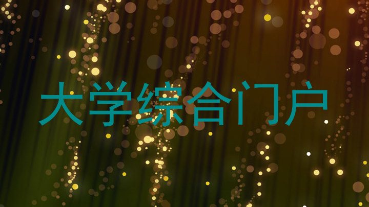 大学综合门户
