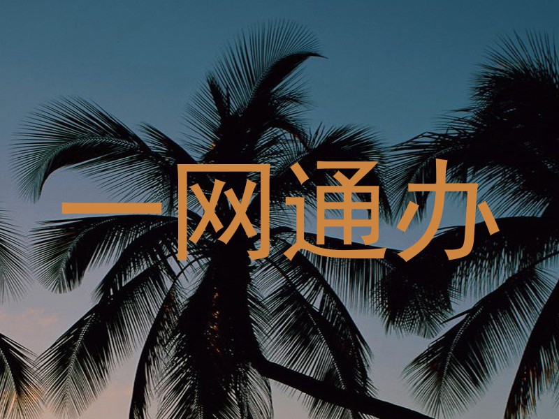 一网通办