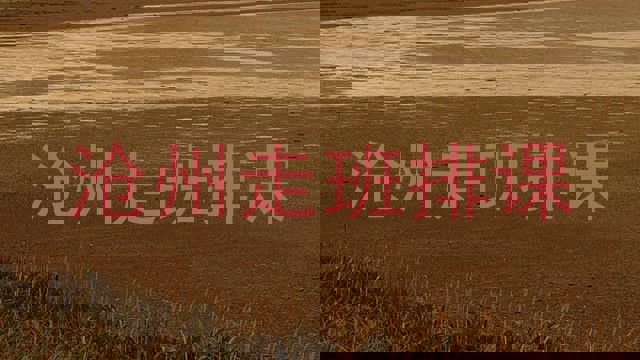 沧州走班排课