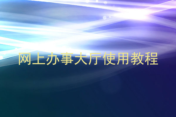网上办事大厅使用教程