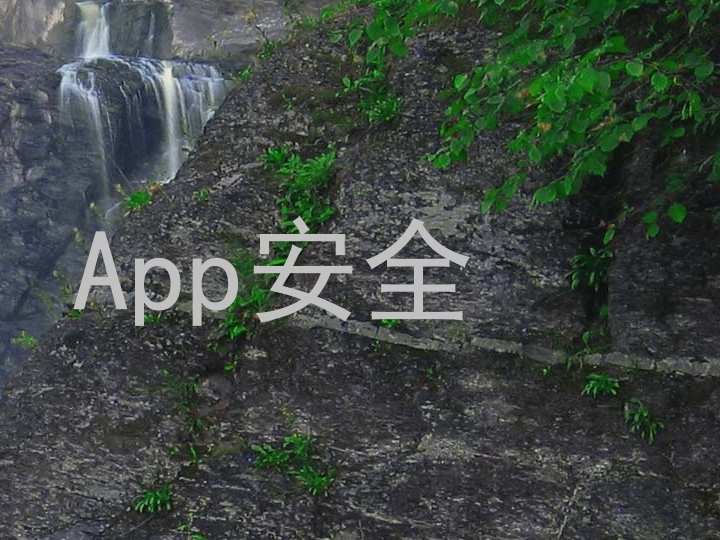 App安全